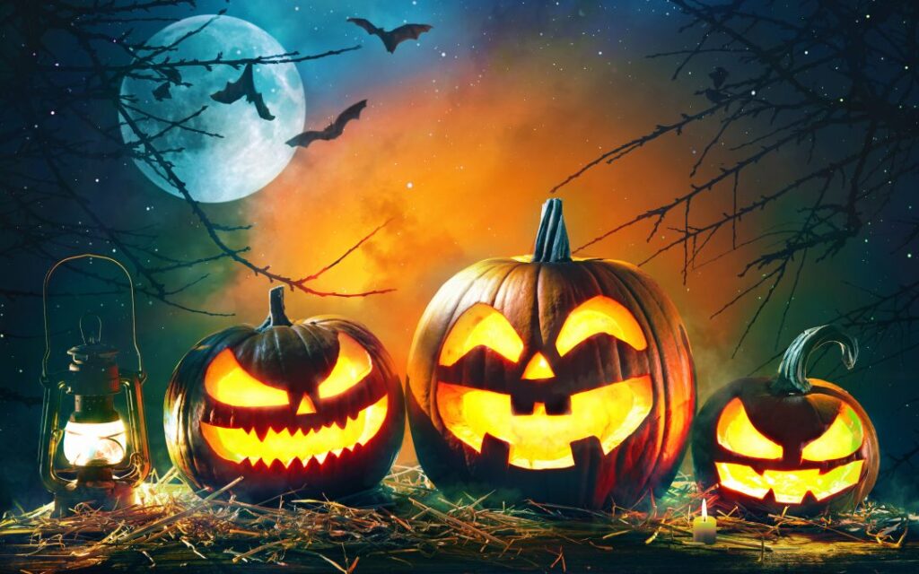 🎃 HALLOWEEN SALE 🎃 EVERYTHING 50% OFF! ONE DAY ONLY • FRIDAY, OCTOBER 16TH Get ready for spooktacular savings! For one day only, take half off your entire purchase across the entire store.